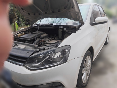 Volkswagen Polo 2015 car image 