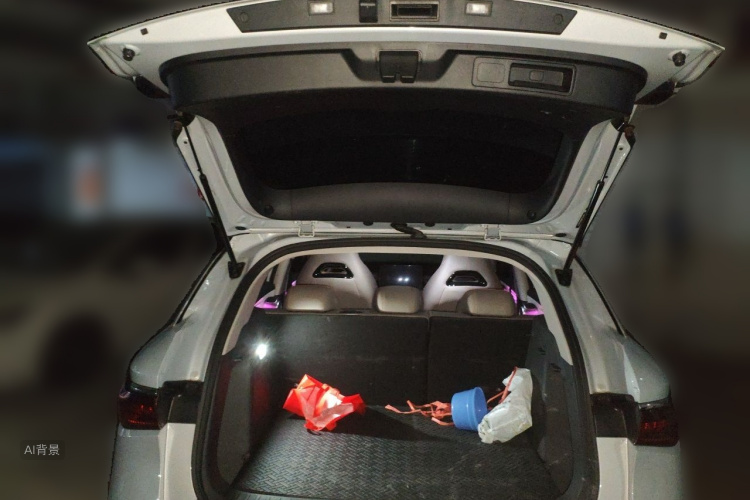 BYD Yuan Plus 2023 car image #21