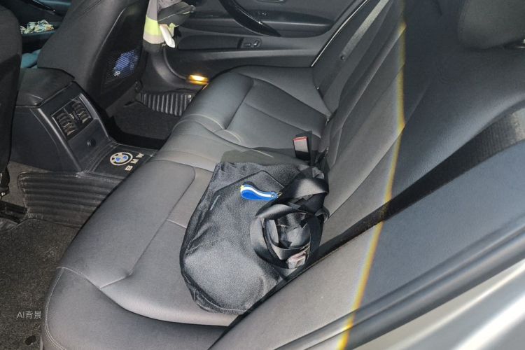 BMW 3 Series 2017 car image #19