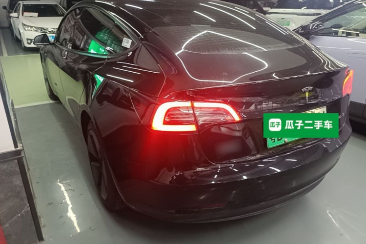 Tesla Model 3 2021 #5 Tesla Model 3 2021 car image #5