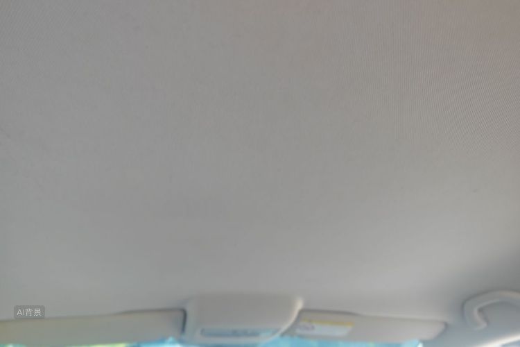 Volkswagen Polo 2017 car image #20