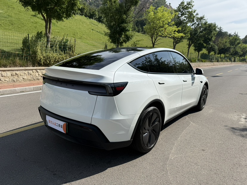 Tesla Model Y 2025 immagine di auto #6