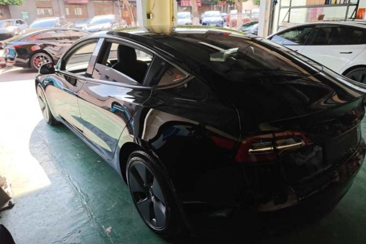 Tesla Model 3 2021 #5 Tesla Model 3 2021 car image #5