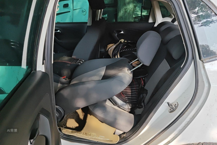 Volkswagen Polo 2019 car image #19