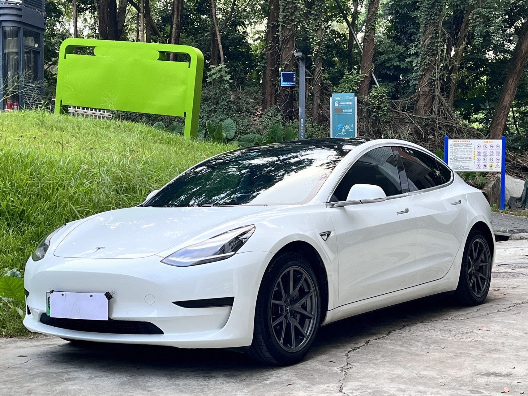 Tesla Model 3 2020 Tesla Model 3 2020 immagine di auto