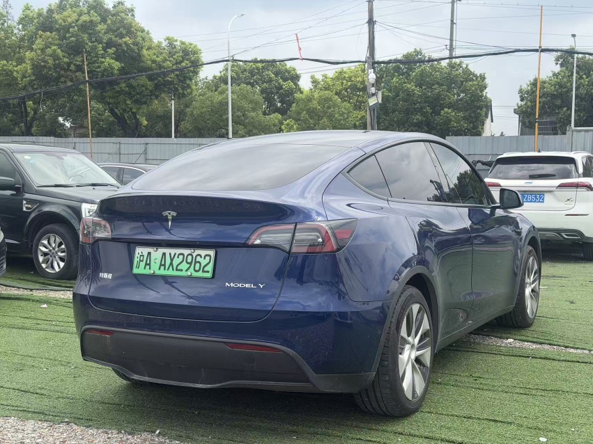 Tesla Model Y 2021 car image #9