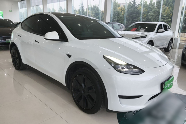 Tesla Model Y 2024 car image #4