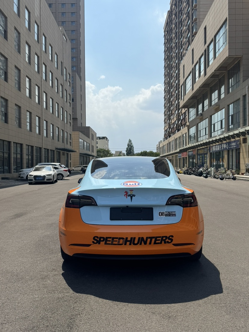 Tesla Model 3 2021 car image #7