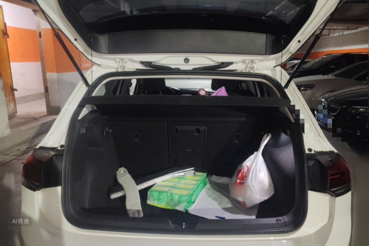 Volkswagen Golf 2021 imagen de coche #21