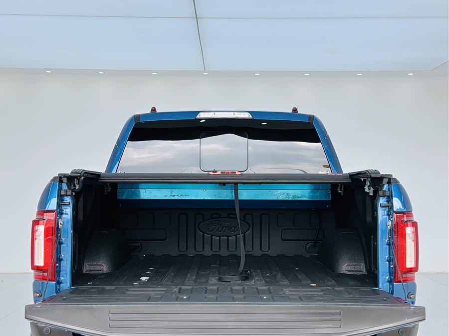 Ford F-150 Raptor 2020 car image #26