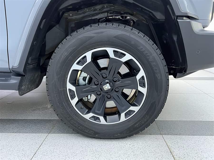 Tank 300 New Energy 2024 #26 Tank 300 New Energy 2024 car image #26