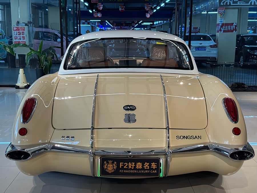 SONGSAN MOTORS SS DOLPHIN 2023 汽车图片 #26