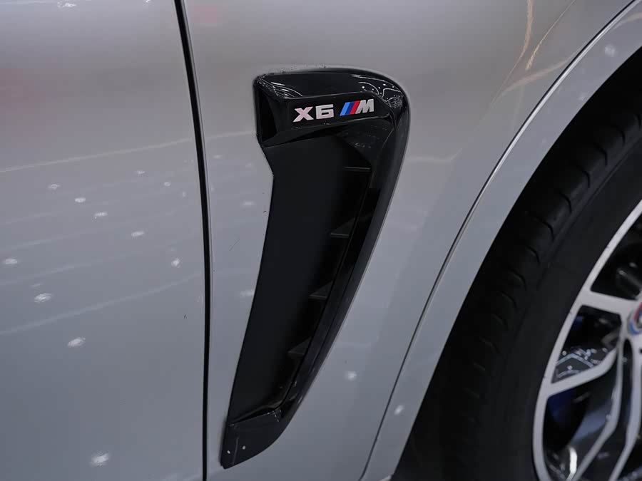 BMW X6 M 2017 #26 BMW X6 M 2017 car image #26