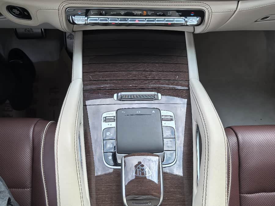 Mercedes-Benz Maybach GLS 2021 car image #26