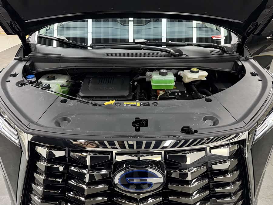 GAC Trumpchi Xiangwang M8 2025 car image #26