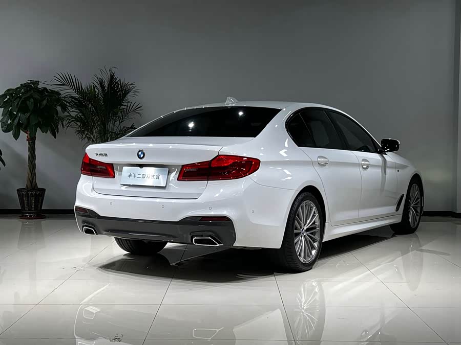 BMW 5 Series (Imported) 2019 #26 BMW 5 Series (Imported) 2019 car image #26