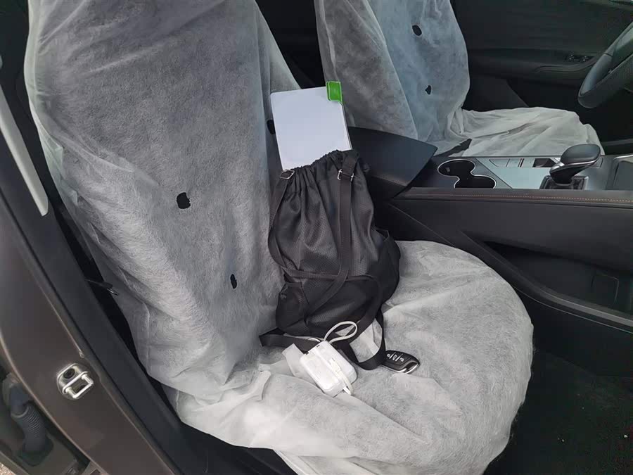 Roewe D5X DMH 2025 imagen de coche #26