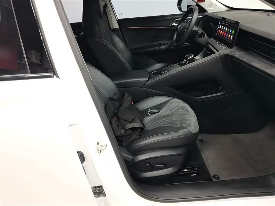 Roewe D5X DMH 2024 car image #26