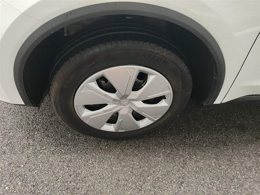 Livan Maple 80V L 2024 car image #26