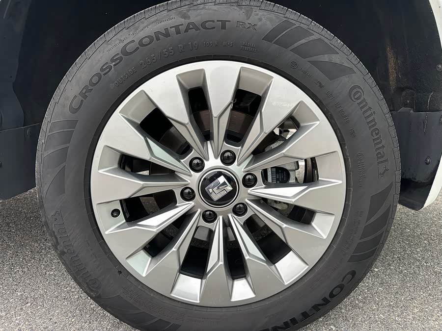 Tank 500 New Energy 2024 car image #26