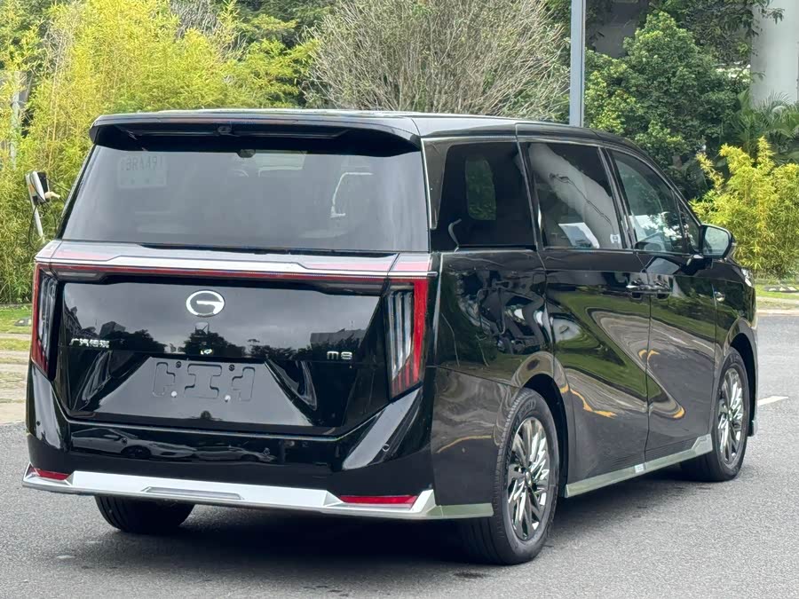 GAC Trumpchi Xiangwang M8 car image #26