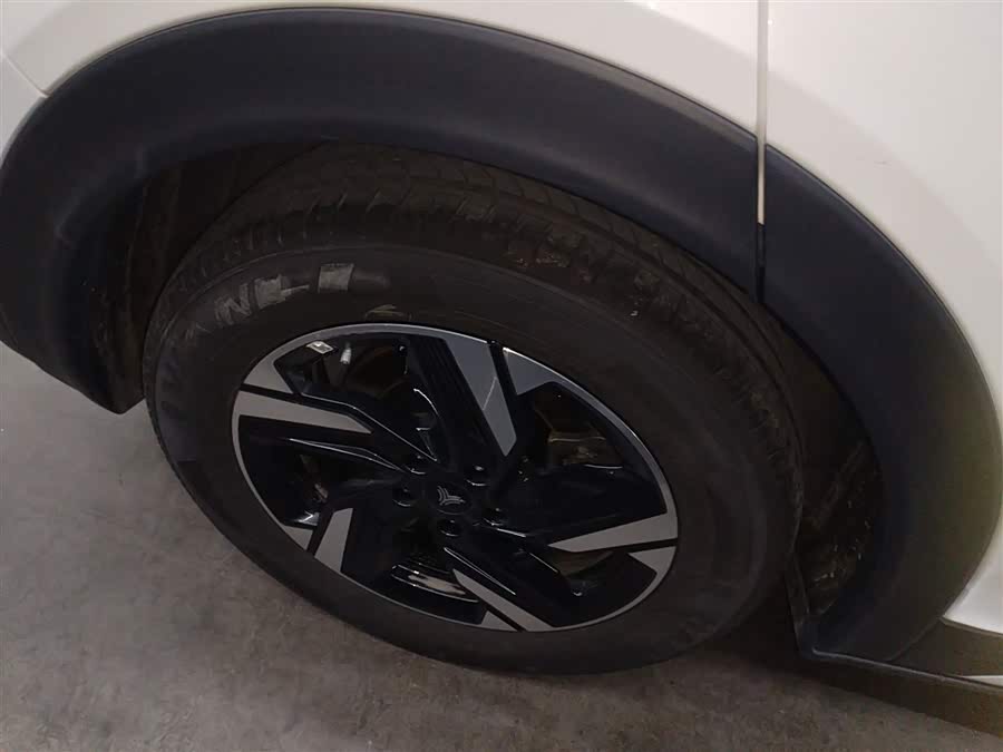 Neta X 2024 imagem de carro #26