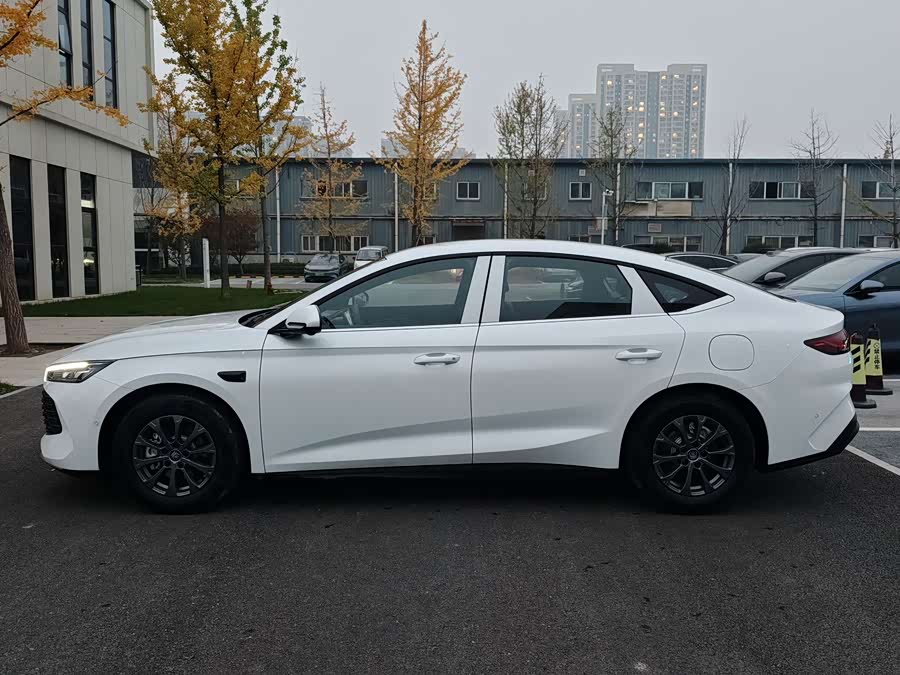 BYD Qin L 2025 car image #26