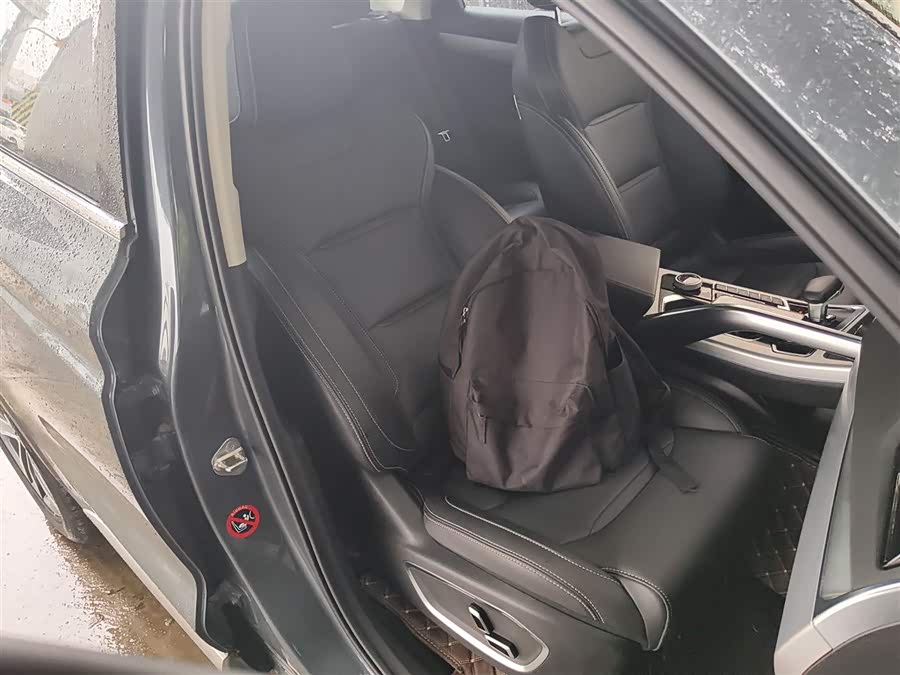 GEELY Tugella New Energy 2019 car image #26