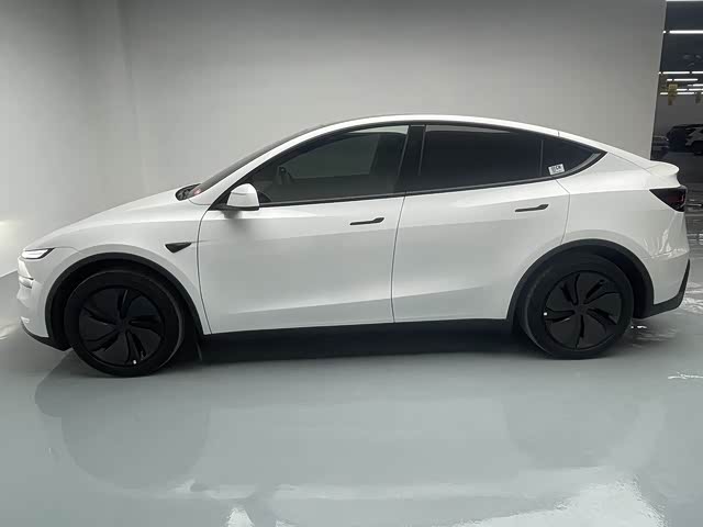 Tesla Model Y 2025 car image #26