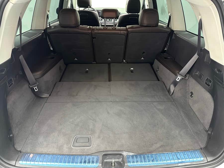 Mercedes-Benz GLS Class 2019 car image #26