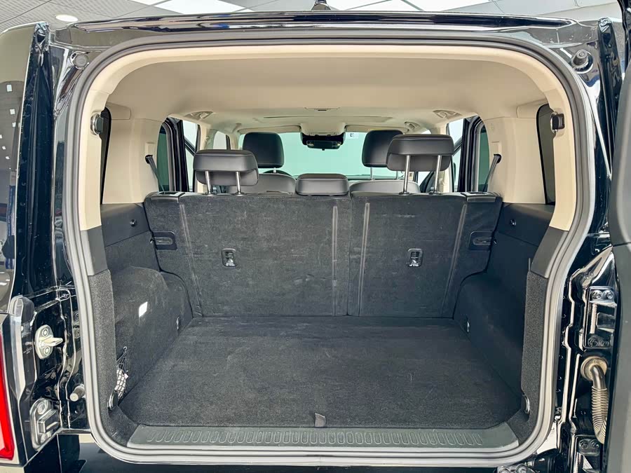 Tank 500 New Energy 2024 immagine di auto #26