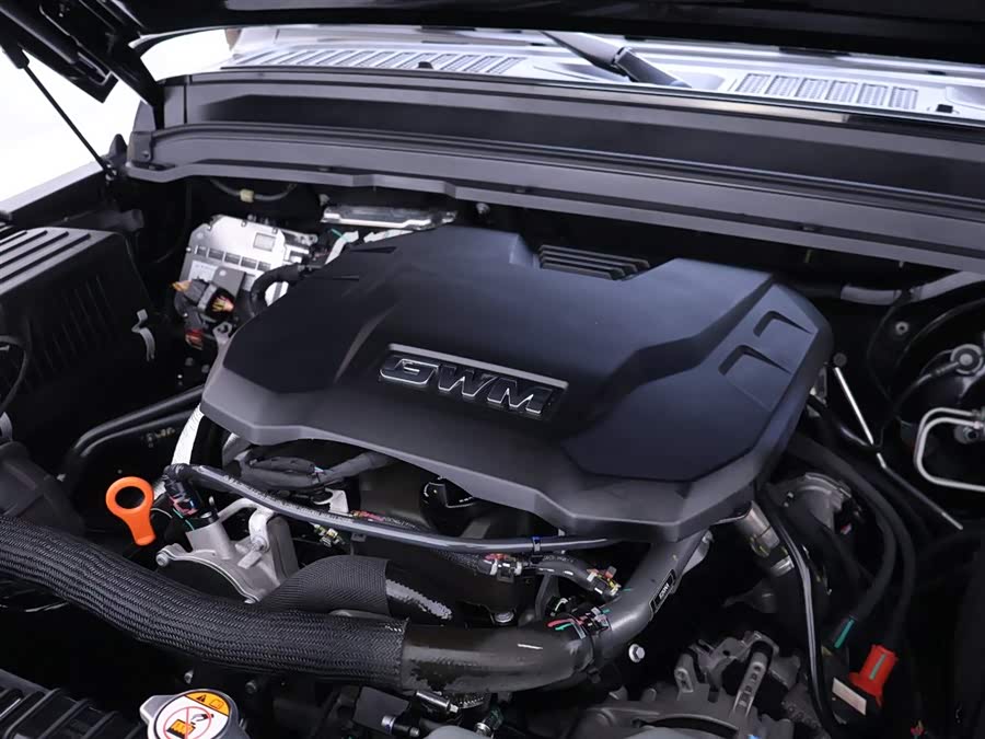 Tank 300 2024 car image #26