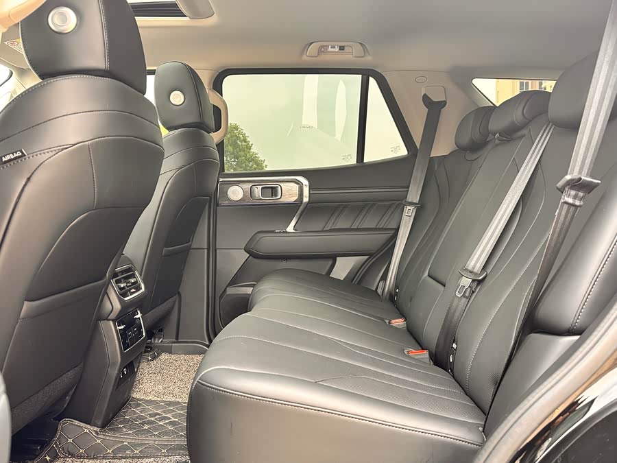 Tank 400 2024 imagem de carro #26