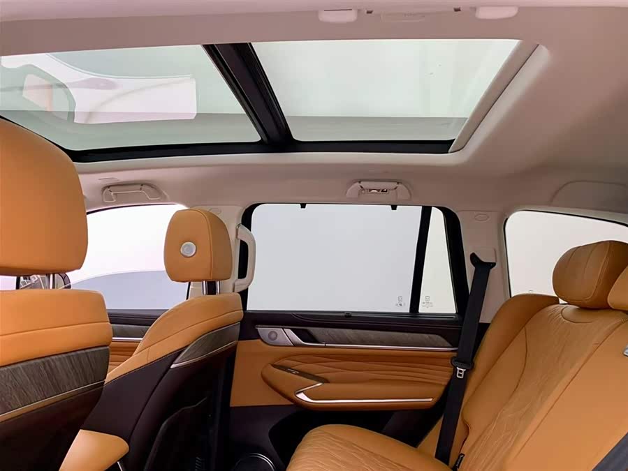 Tank 500 New Energy 2024 immagine di auto #26