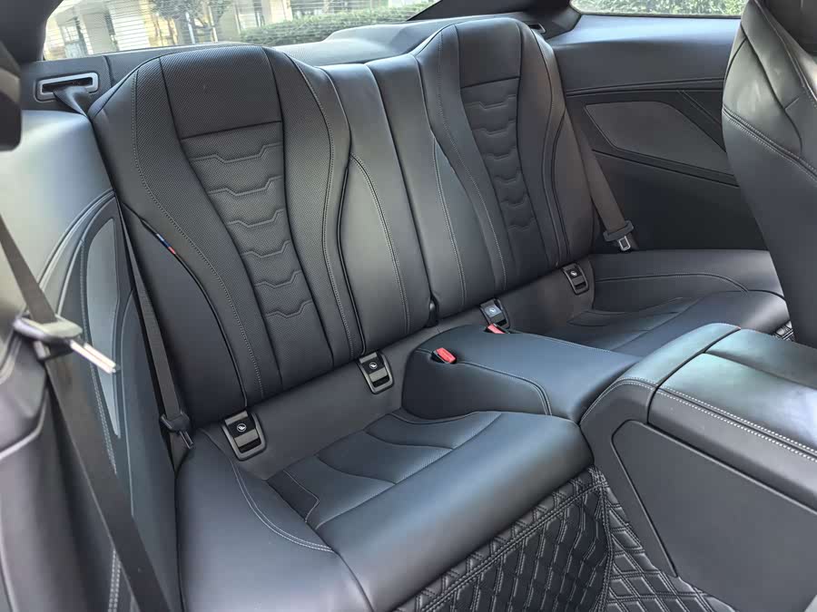 BMW 8 Series 2023 car image #26