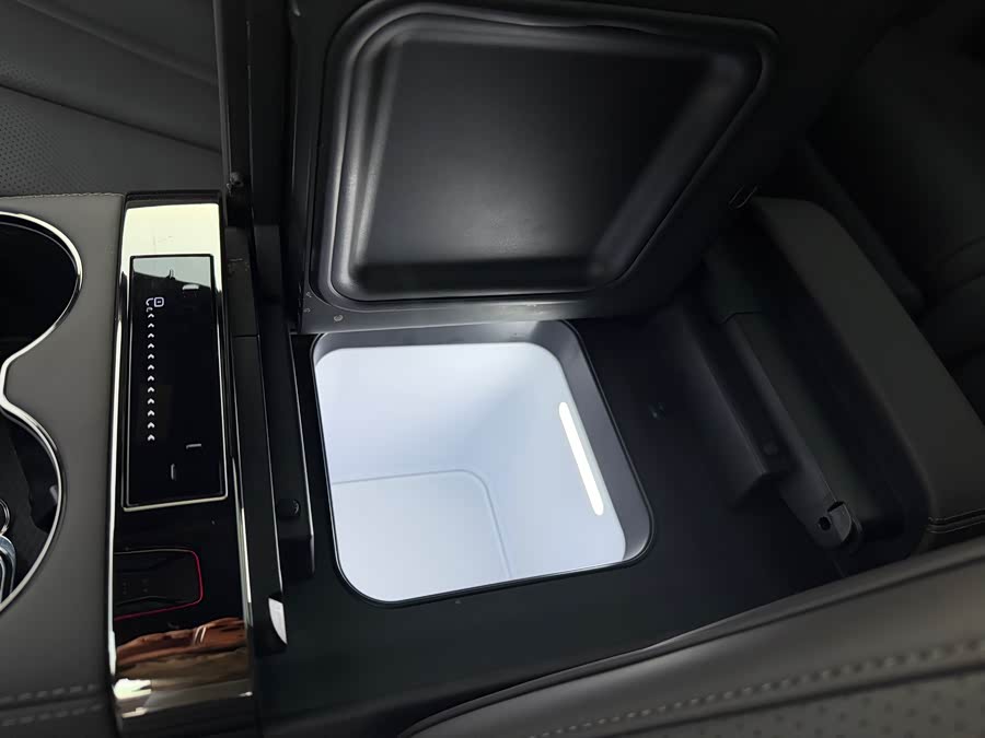 Denza Z9 2024 immagine di auto #26