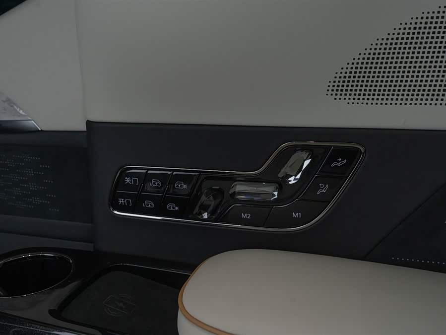 极氪 极氪009 2024 汽车图片 #26