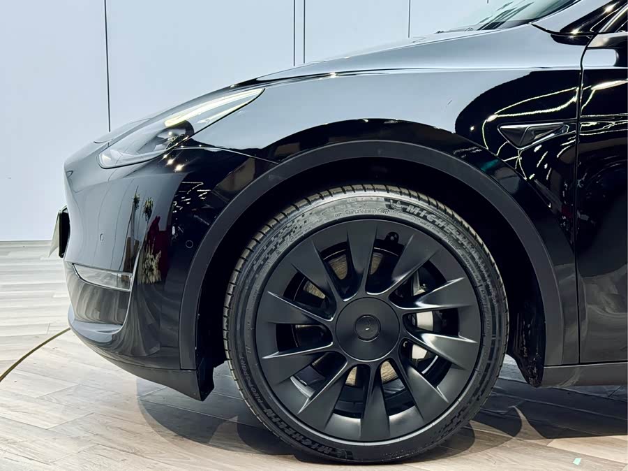 Tesla Model Y 2021 #26 Tesla Model Y 2021 car image #26
