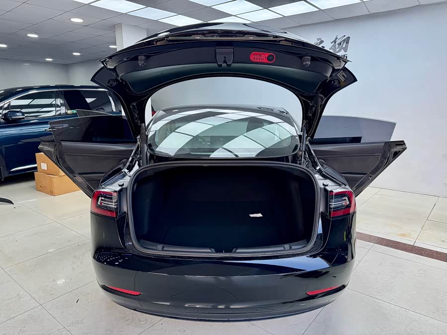 Tesla Model 3 2021 car image #26