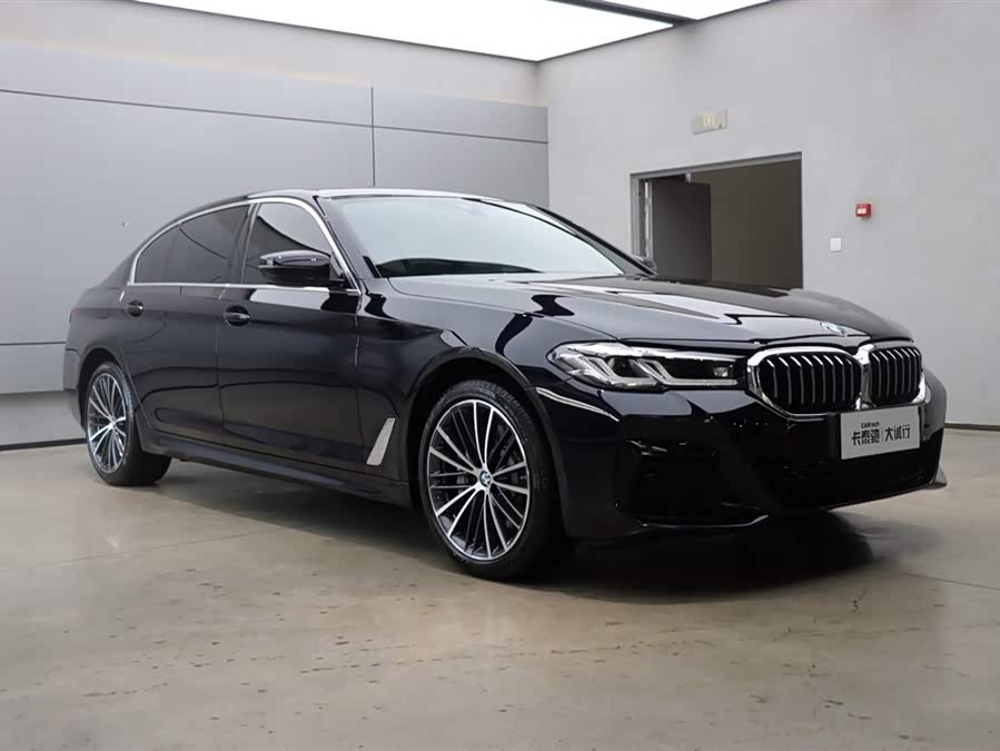BMW 5 Series 2021 car image #26