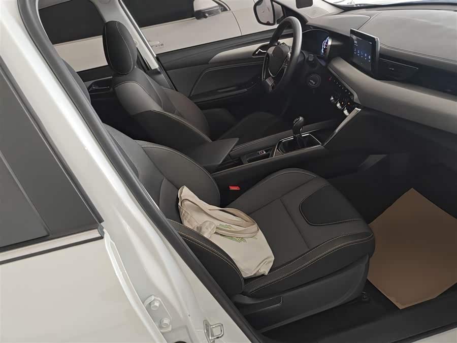 Beijing X3 2023 immagine di auto #26