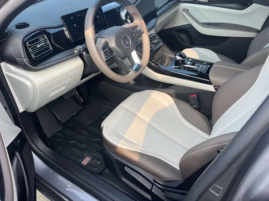 BYD Qin Plus 2024 immagine di auto #26