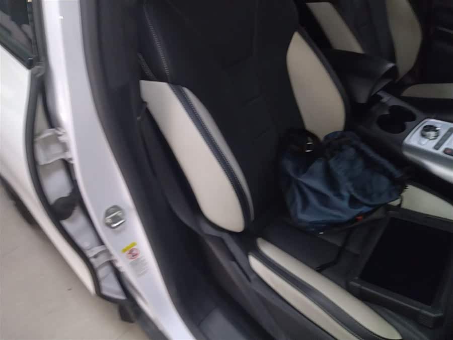 Denza X 2020 car image #26