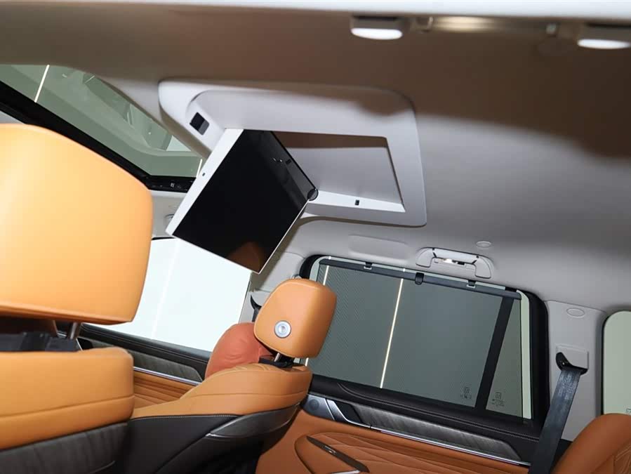 Tank 500 New Energy 2025 immagine di auto #26