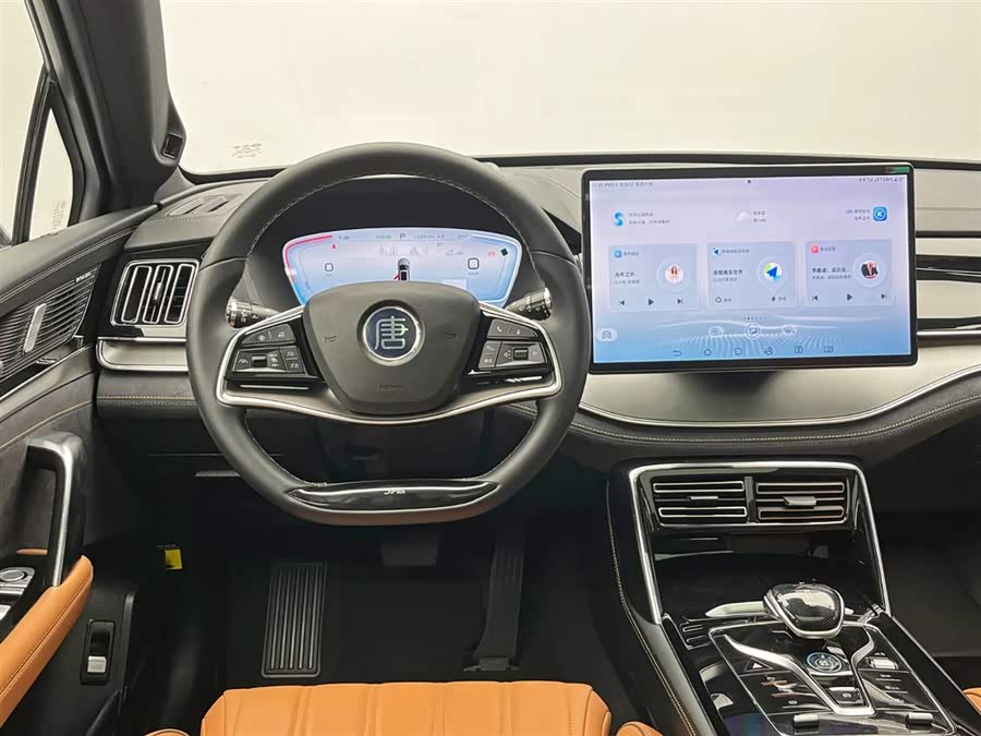 BYD Tang New Energy 2022 immagine di auto #26