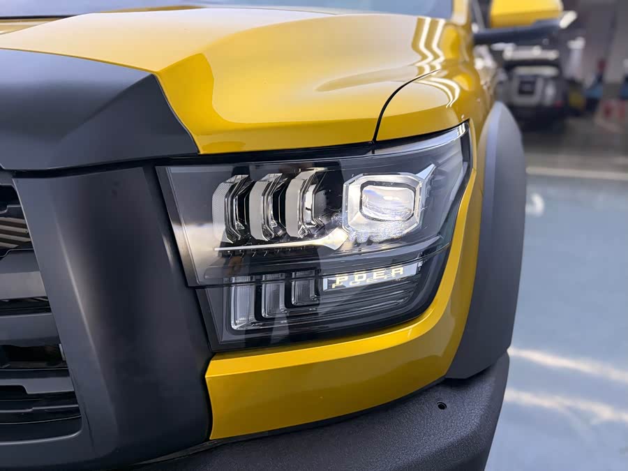 Great Wall Poer 2021 car image #26