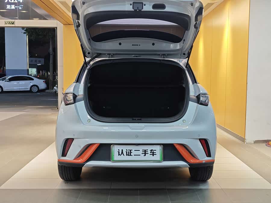 BYD Dolphin 2022 car image #26