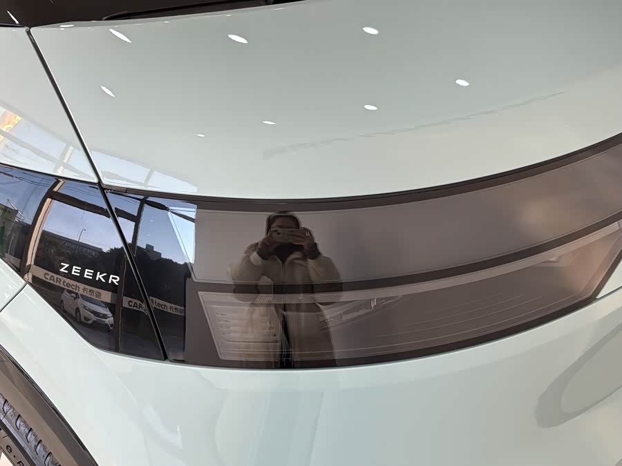 Zeekr MIX imagen de coche #26