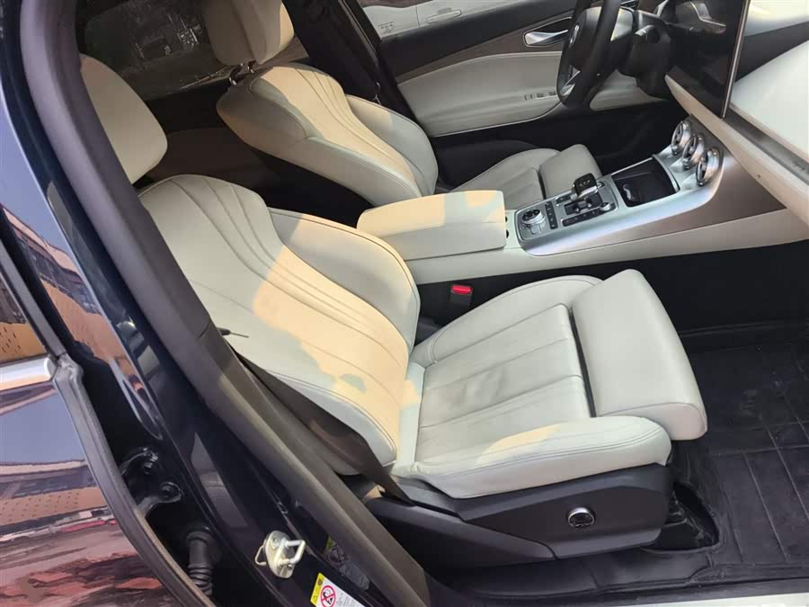 Denza X 2020 изображение автомобиля #26