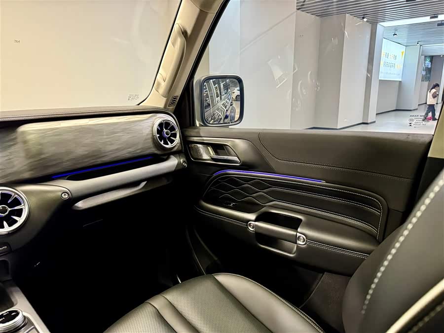 Tank 300 2024 car image #26